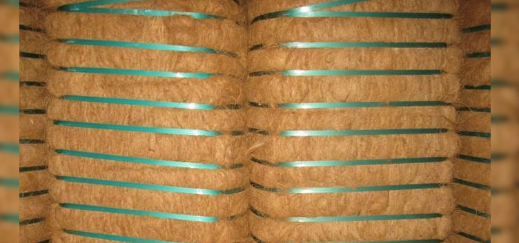 Coir Fiber